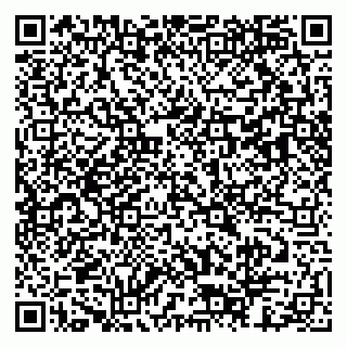 vCard 79803453175