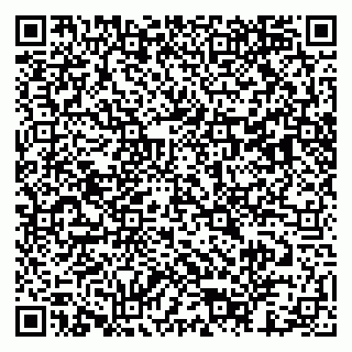 vCard 79803453181