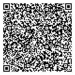 vCard 79803453199