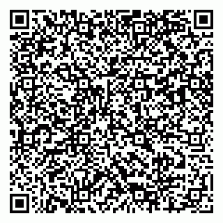 vCard 79803458704