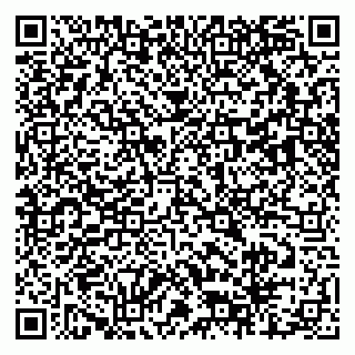 vCard 79803458731