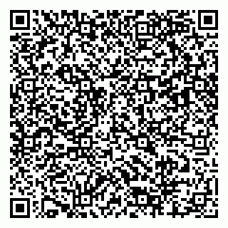 vCard 79803460011