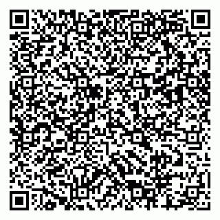 vCard 79803460013