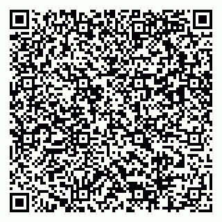 vCard 79803460031