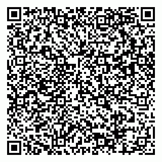 vCard 79803460033