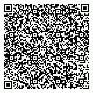 vCard 79803460038