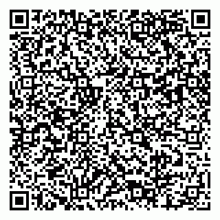 vCard 79803460060