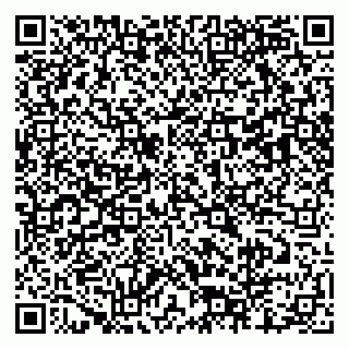 vCard 79803460062