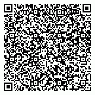 vCard 79803460063