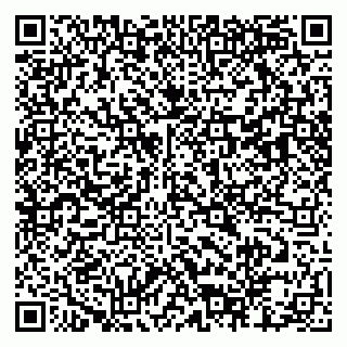 vCard 79803460093