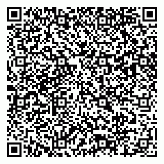 vCard 79803460109