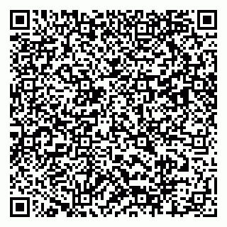vCard 79803460117
