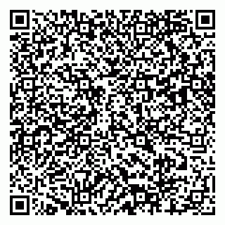 vCard 79803460128