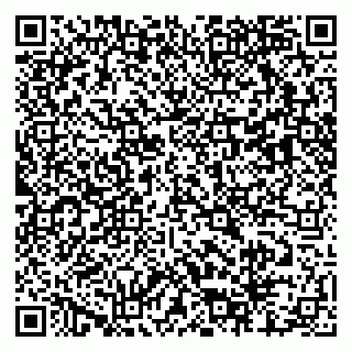 vCard 79803460131