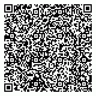 vCard 79803460132