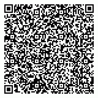 vCard 79803460133