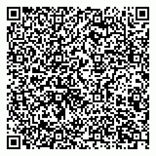 vCard 79803460137