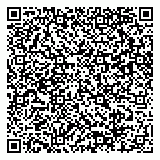 vCard 79803460138