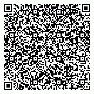 vCard 79803460140