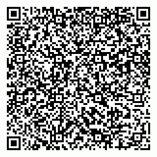 vCard 79803460145
