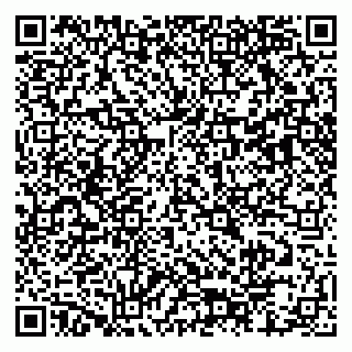 vCard 79803460153
