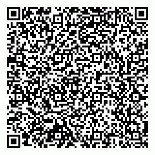 vCard 79803460171