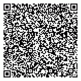 vCard 79803460181