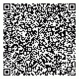 vCard 79803460202
