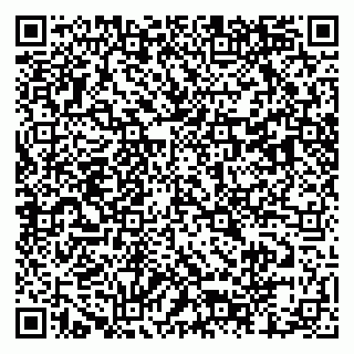 vCard 79803460203