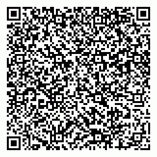 vCard 79803460208