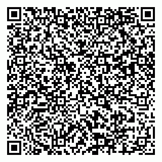 vCard 79803460209