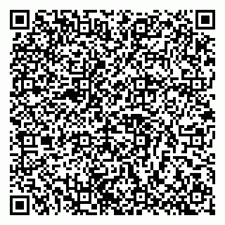 vCard 79803460210