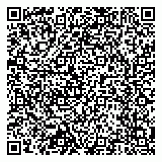 vCard 79803460217