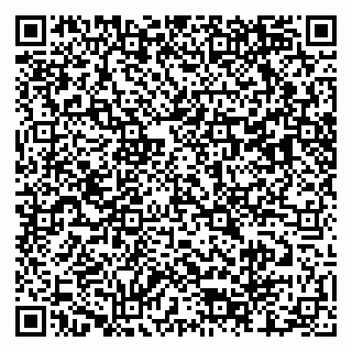 vCard 79803460228