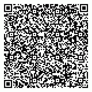 vCard 79803460231