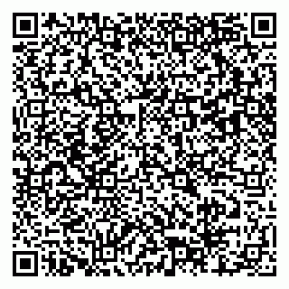 vCard 79803460239