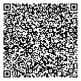 vCard 79803460240