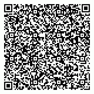 vCard 79803460249