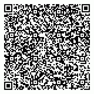vCard 79803460250