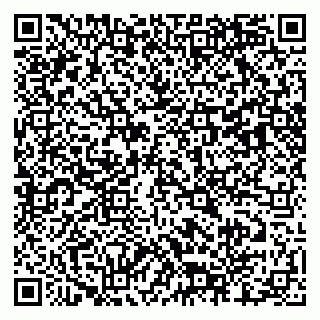 vCard 79803460288