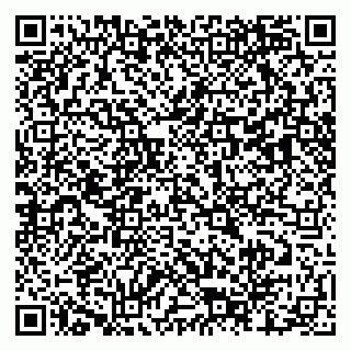 vCard 79803460298