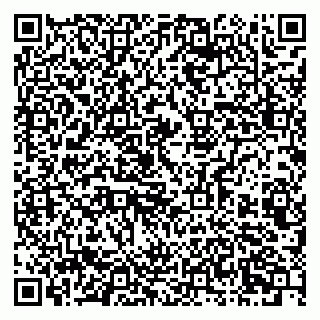 vCard 79803460300