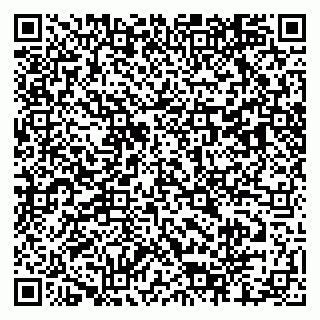 vCard 79803460301