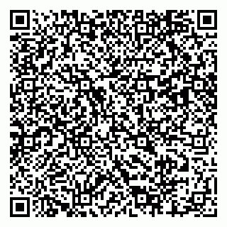 vCard 79803460302