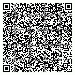 vCard 79803460303
