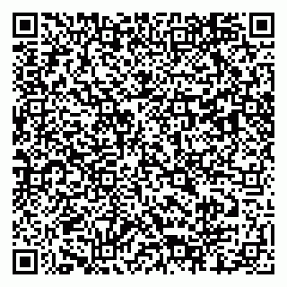 vCard 79803460304