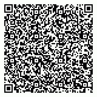 vCard 79803460305