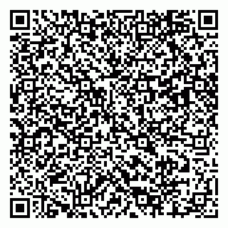 vCard 79803460309