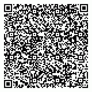 vCard 79803460313
