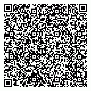 vCard 79803460314
